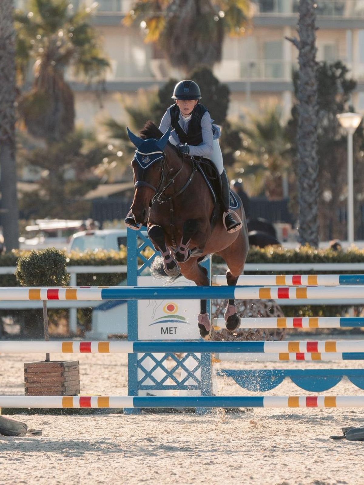 Strides Best Friend in the HRB Equestrian programme