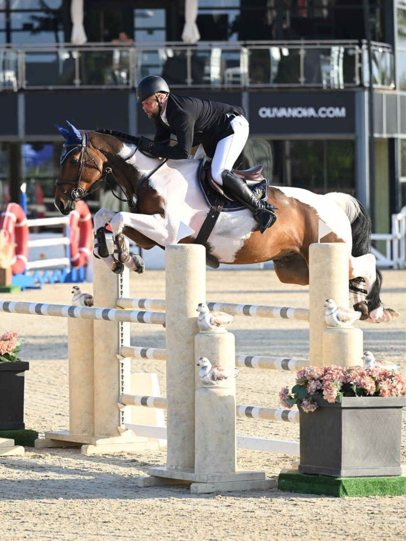 Unikat, showjumping gelding in production at HRB Equestrian