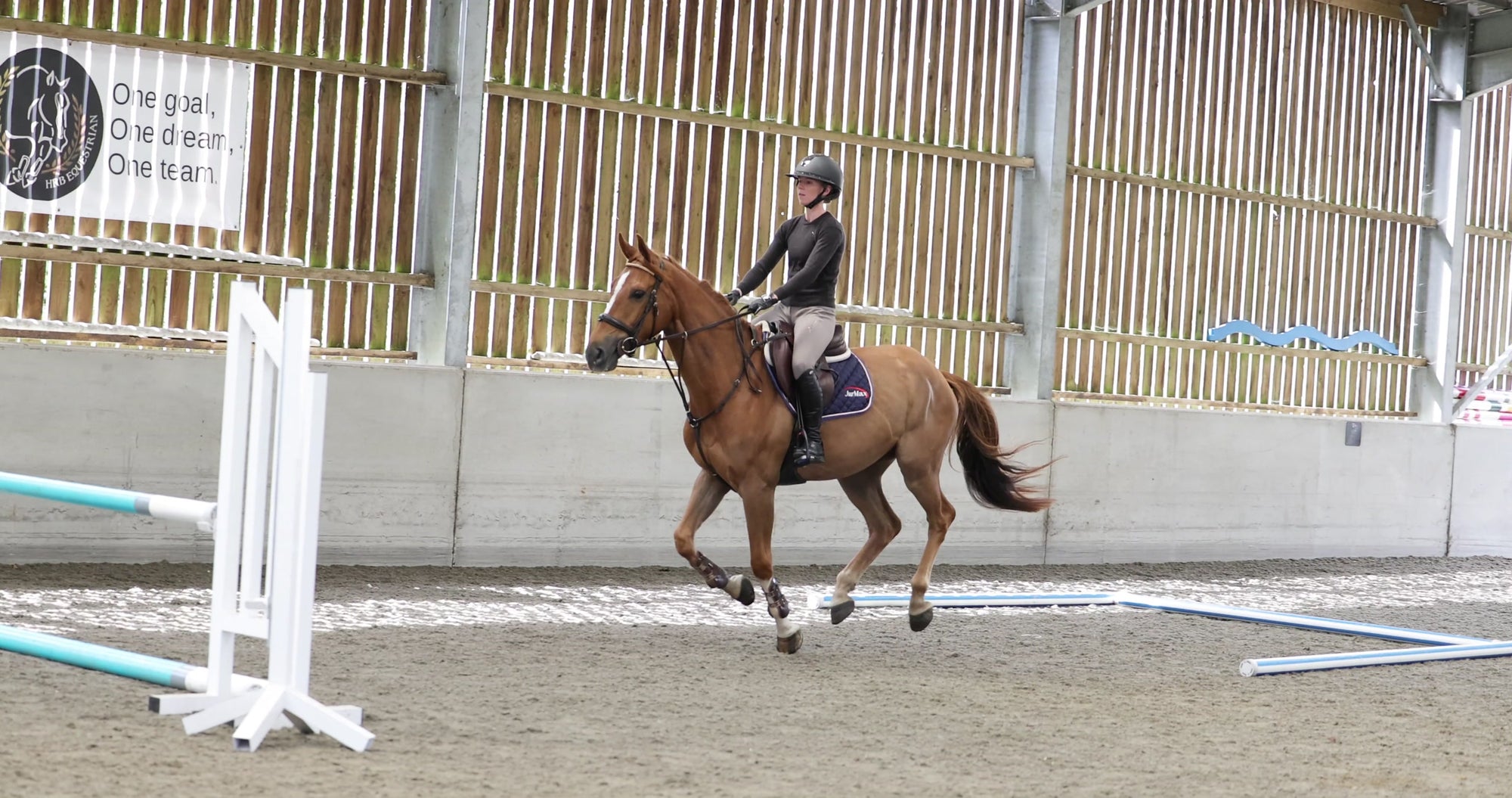 Dan Barnes working with a horse at HRB Equestrian
