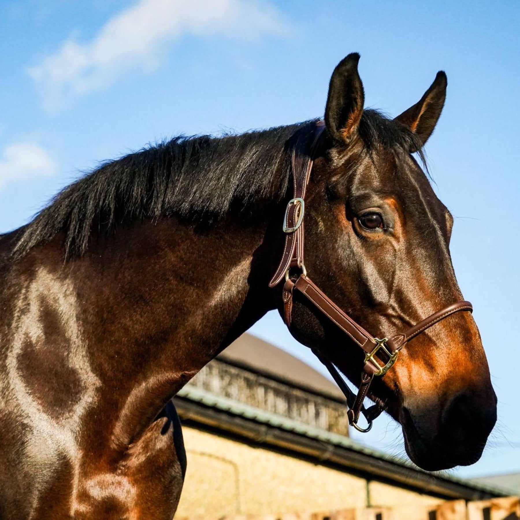 HRB sponsorship image