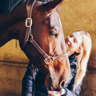 HRB welfare-first partnership