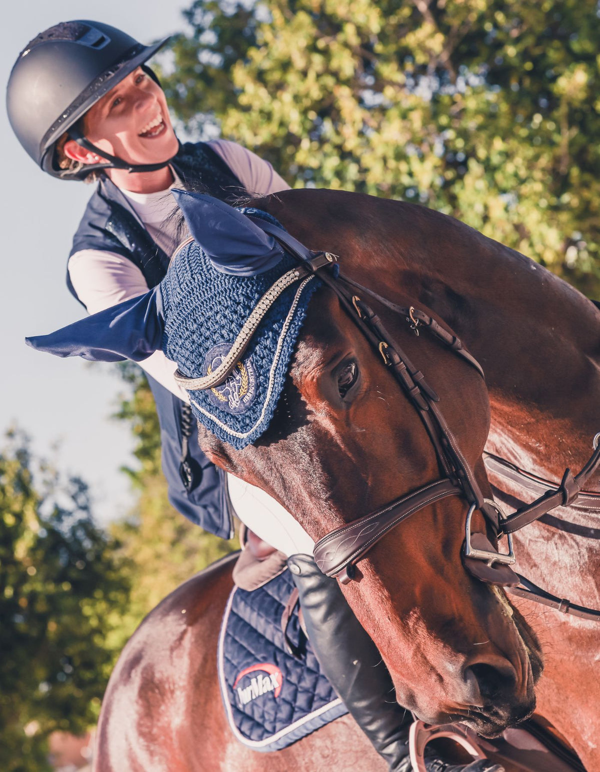 Showjumping horse at HRB Equestrian