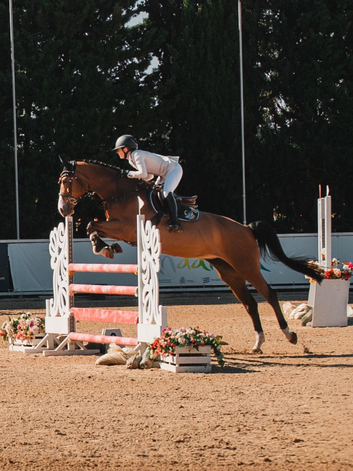Happy-Fomia in the HRB Equestrian programme