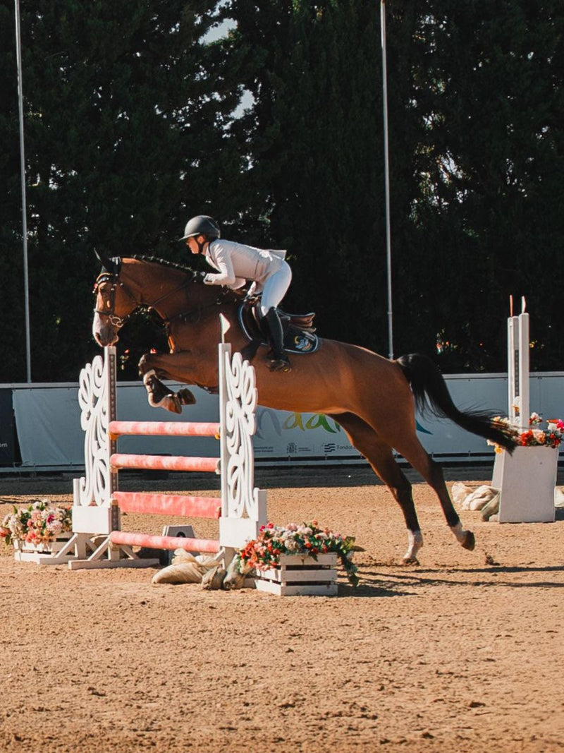 Happy-Fomia, experienced mare at HRB Equestrian