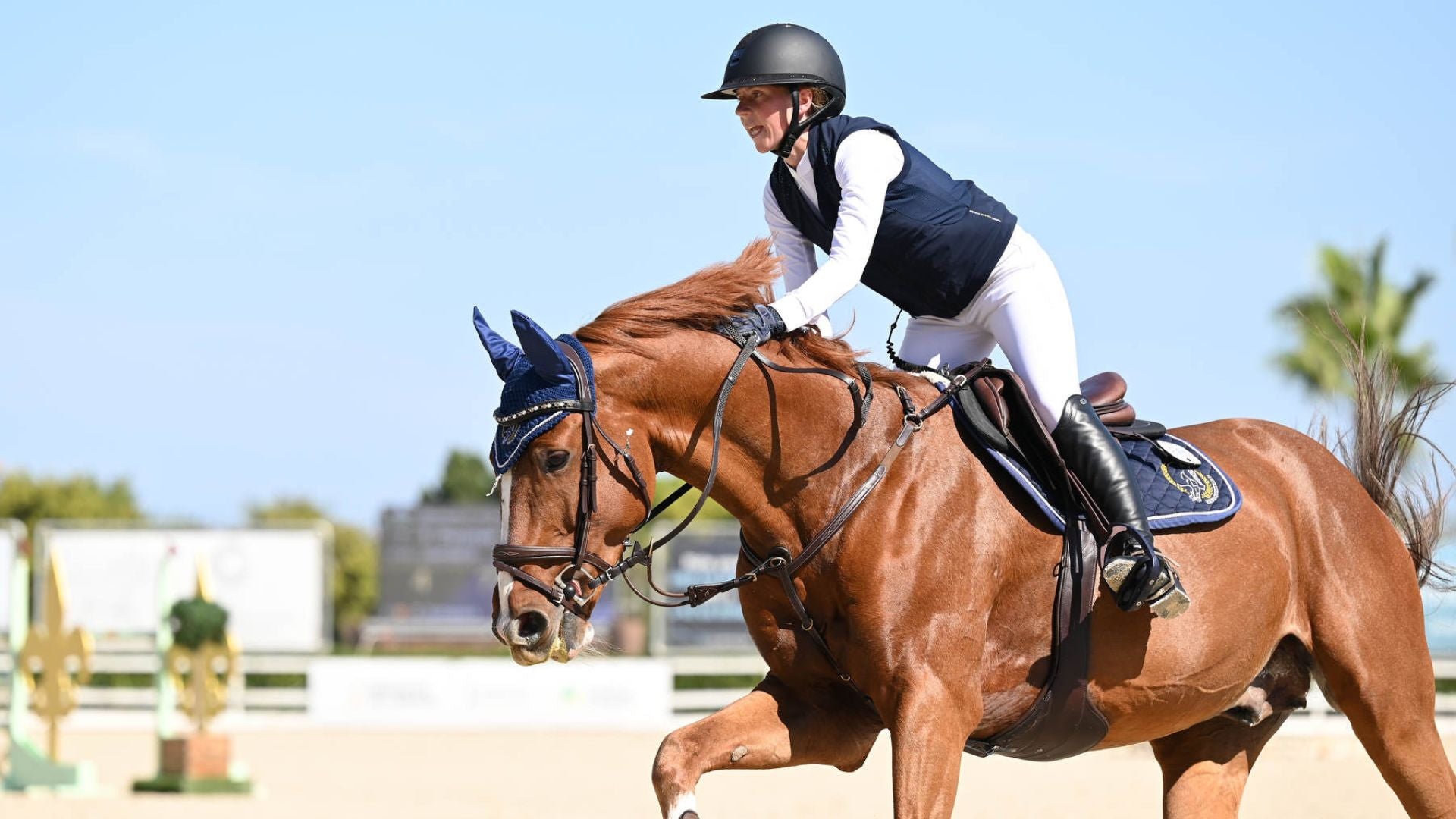 Showjumping rider and horse at HRB Equestrian