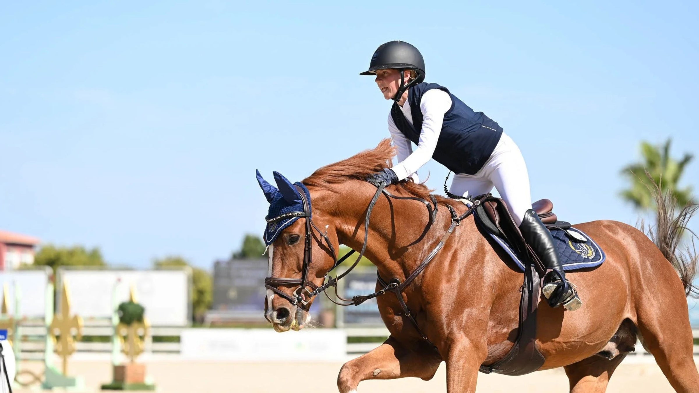 HRB Equestrian