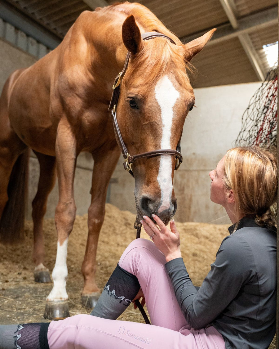 Horse care products used at HRB Equestrian