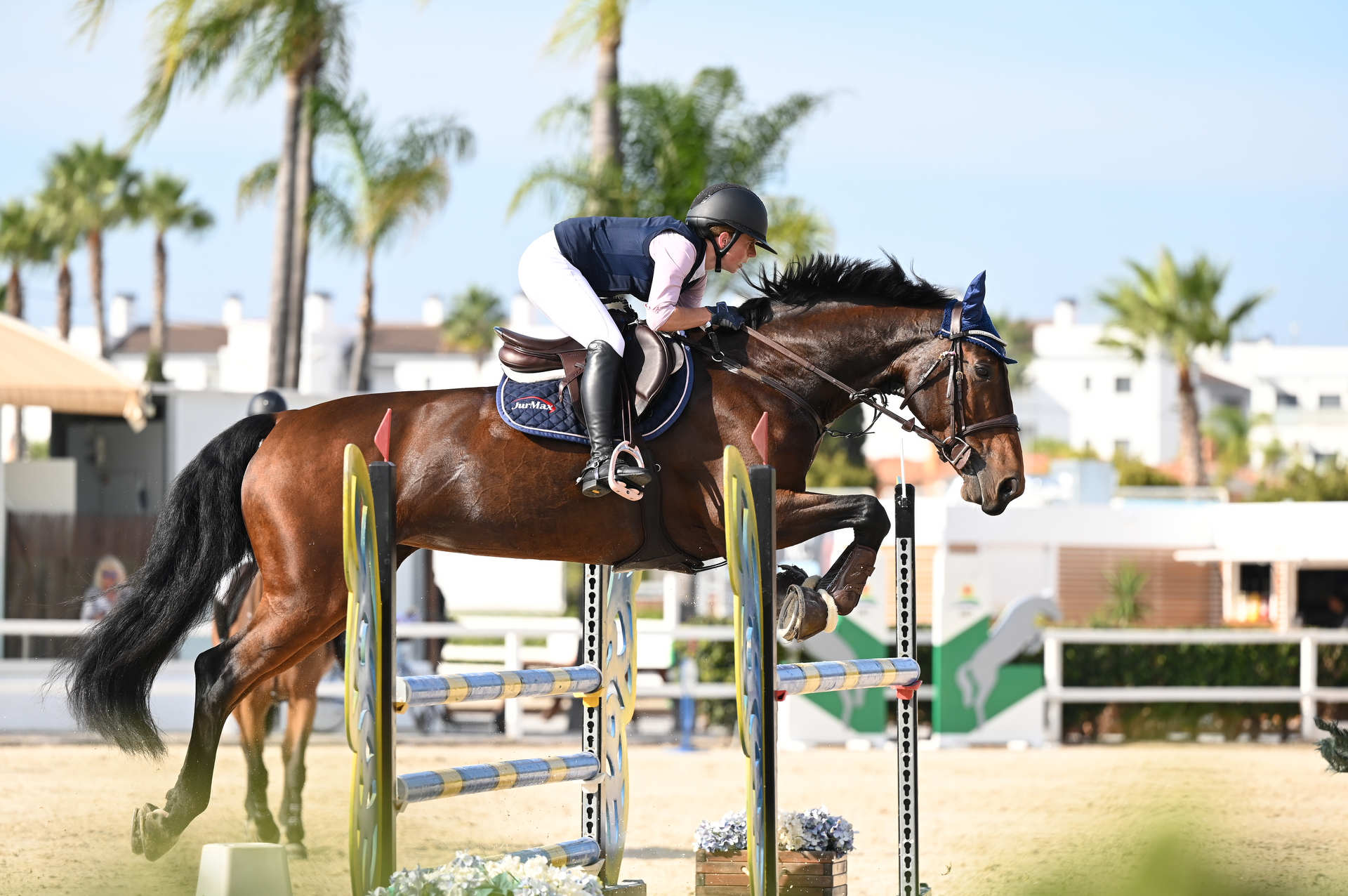 HRB Equestrian