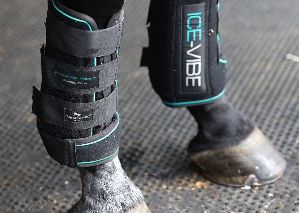 Ice boots for horse recovery at HRB livery yard in Hertfordshire