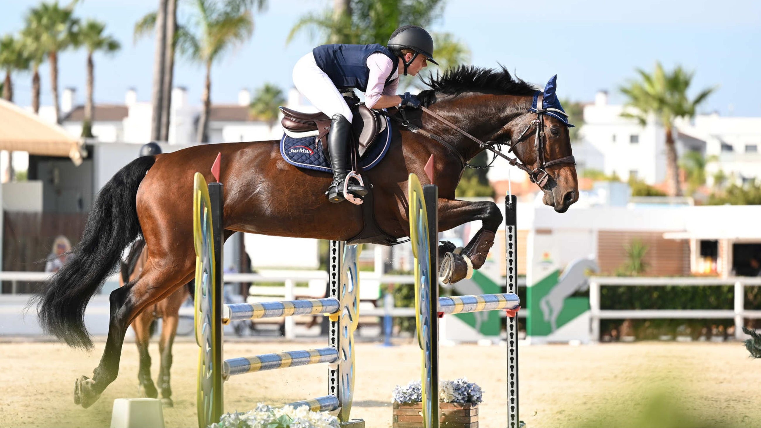 Horse and rider at HRB Equestrian