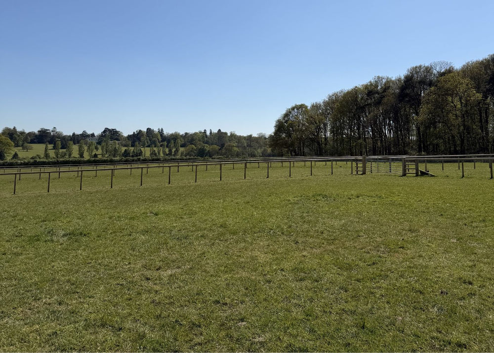 7-Field Turnout